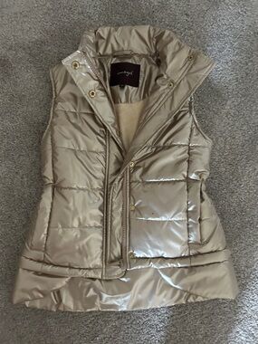 Imoga Shimmering Champagne Quilted Puffer Vest